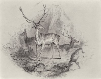 In de vallei door Edwin Landseer